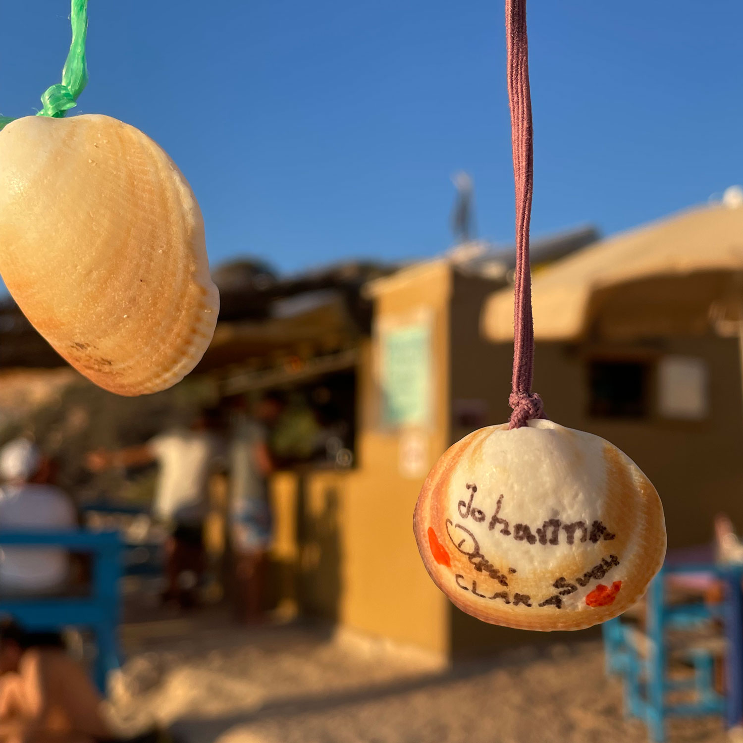 Über Daniela Kamprüwen dk Grafik-Design, Grafikdesignerin, Formentera, Muschel