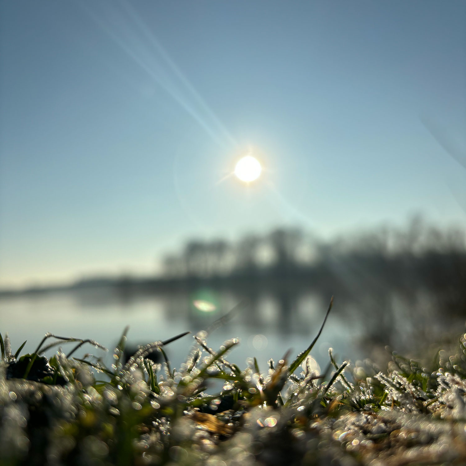 Über Daniela Kamprüwen dk Grafik-Design, Grafikdesignerin, Unterbacher See, joggen